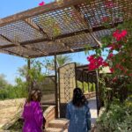 Lavander Life Farm: Where Nature Meets Science